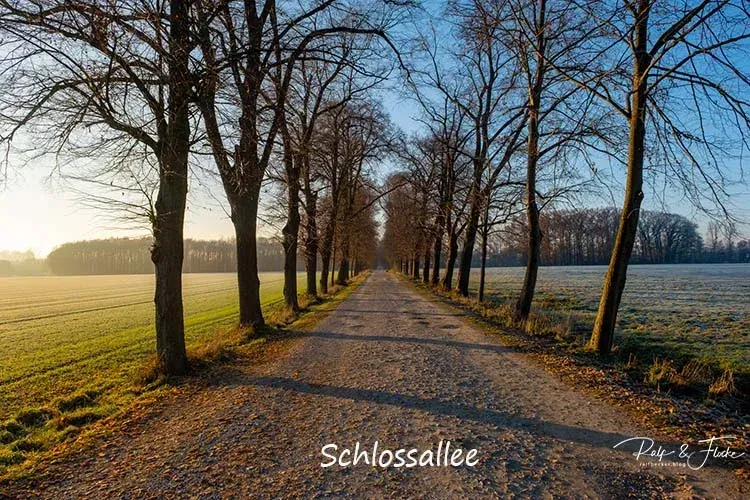 Schlossallee
